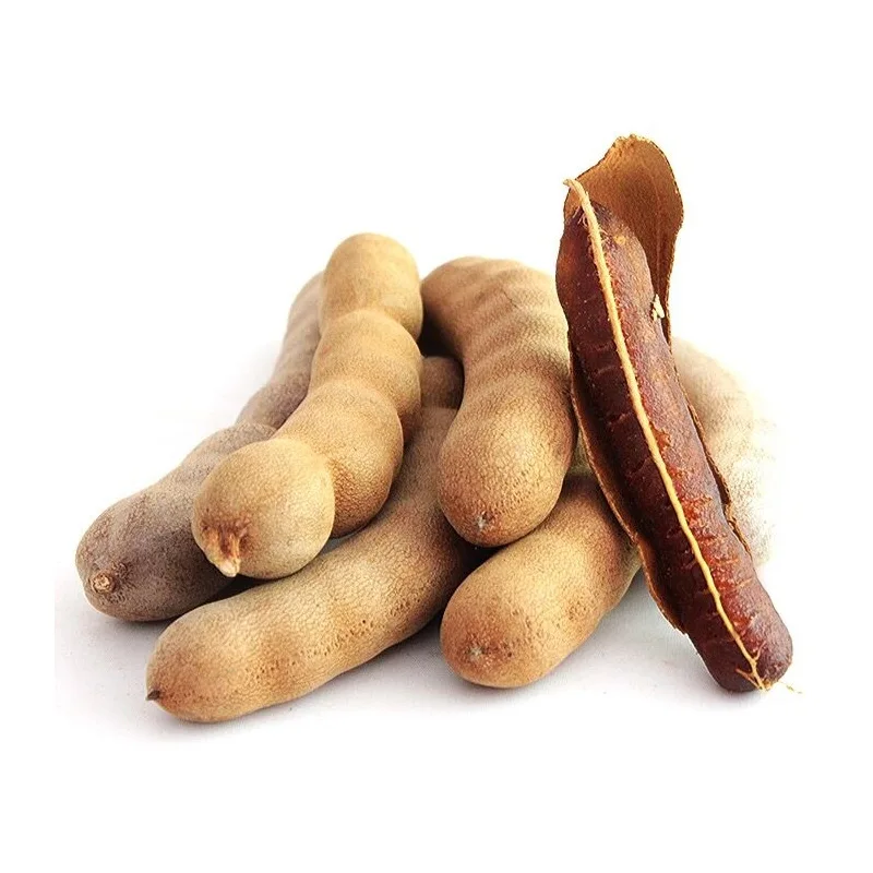 Tamarind Wholesale Supplier Bulk Dried Tamarindus Factory Price