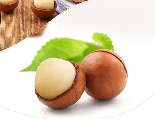 Cheap Wholesale And Raw organic chinese Macadamia nuts For Sale Tasty And Nutritional