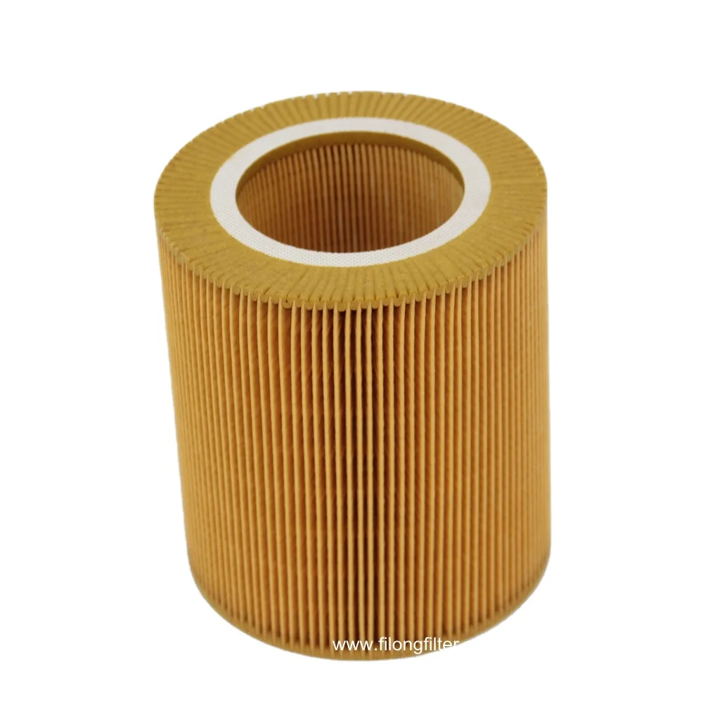 FILONG  HEPA AIR FILTER OEM C1250 017089010 CHINA MANUFACTURE