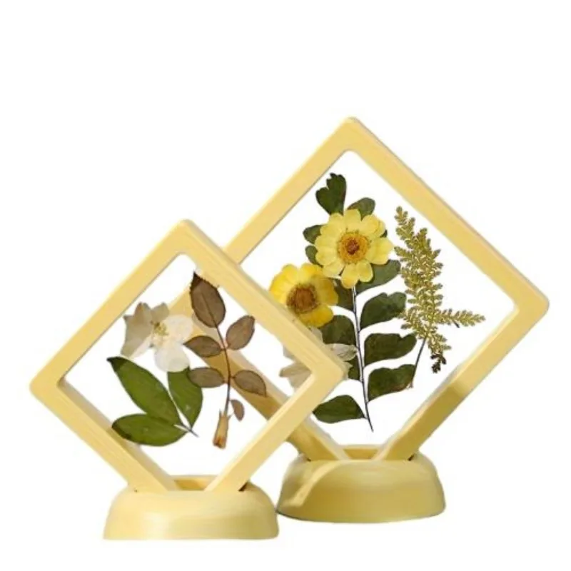 Wholesale Modern Desktop Nature Beauty Square Plastic Frame Flower Pressing Toys