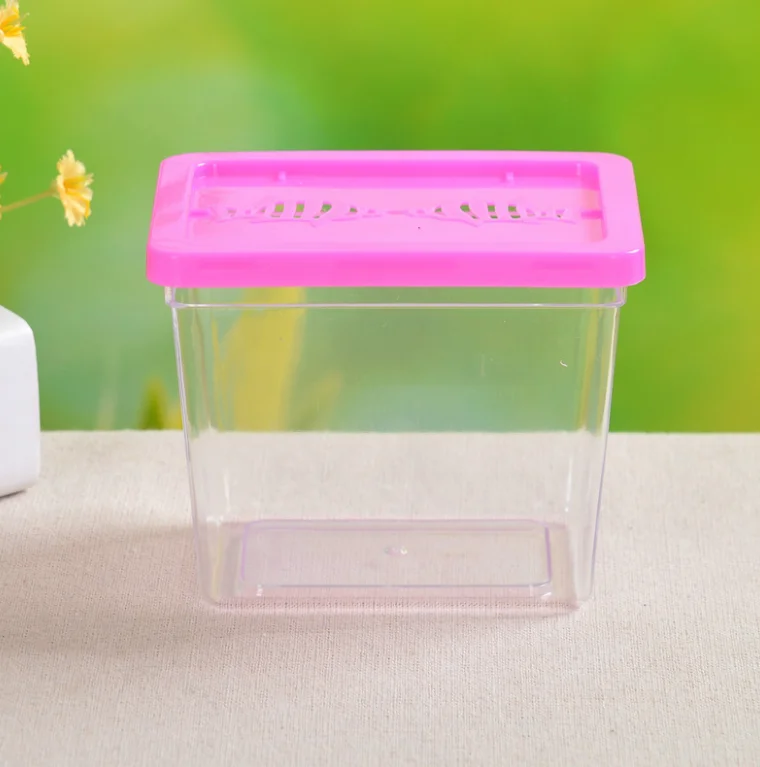 Transparent Mini goldfish tank small size resin Aquarium plastic insect box