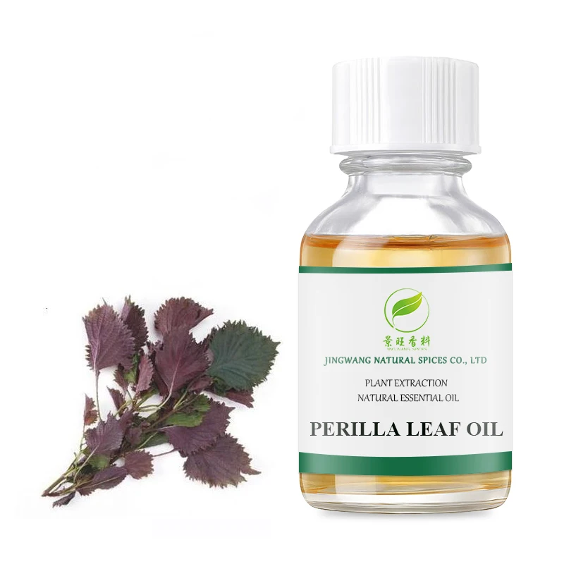 Wholesale perilla leaf essential oil with best price