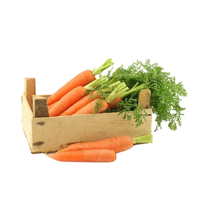 Fresh New Carrot Price Per Ton China Wholesaler