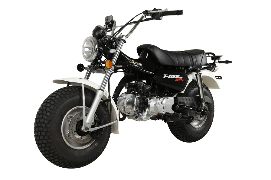 SKYTEAM 125cc E4 4 stroke T-REX RV90 vanvan beach motorcycle dirt bike (EEC EURO3 EURO4 approval)