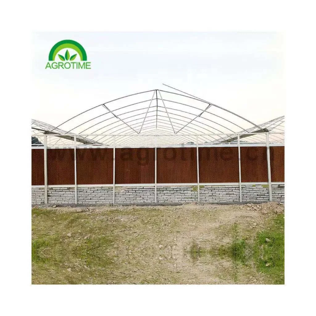  Chinese project hot sale commercial agriculture multi span hydroponic greenhouse glass green house for