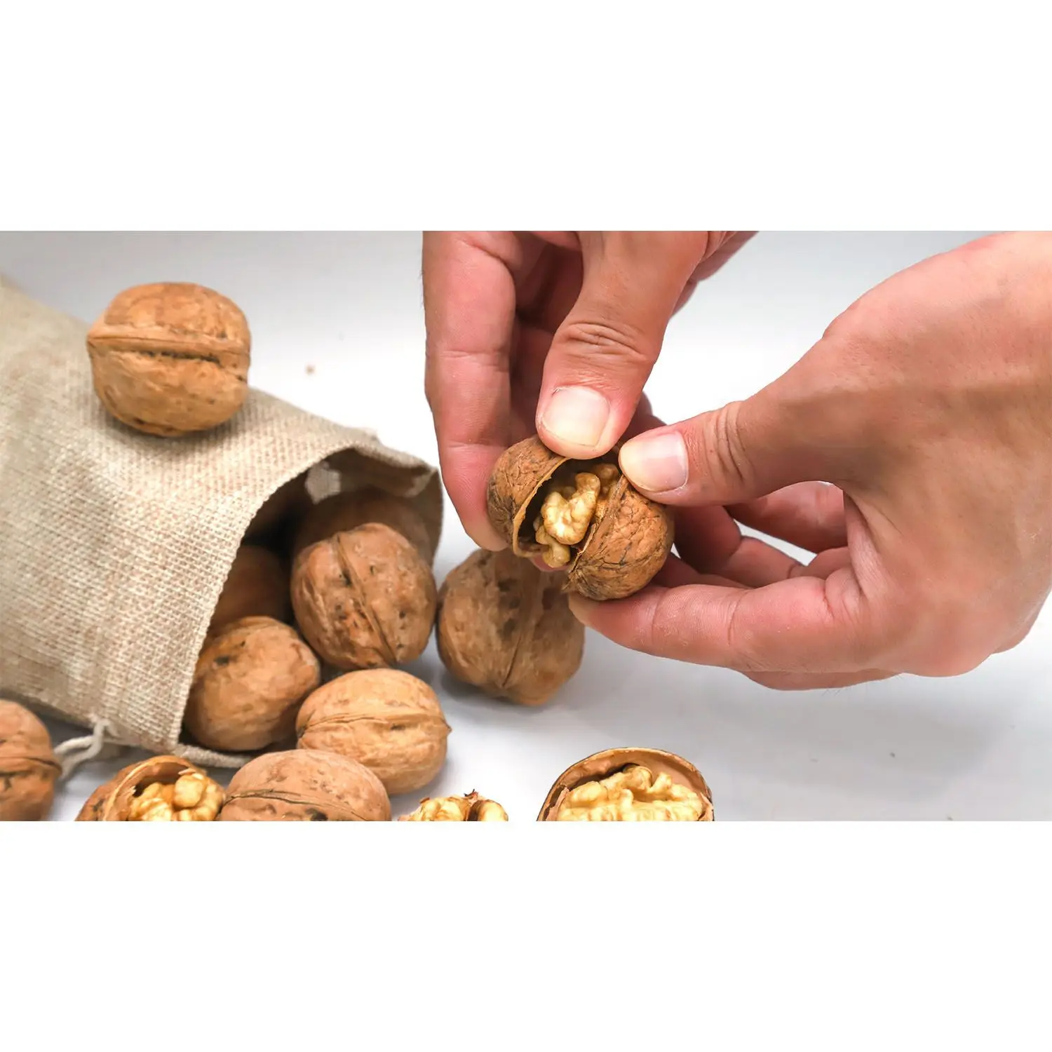 Excellent quality Thin-skin Raw Walnut with shell in bulk wholesale