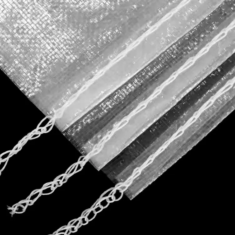 5kg 10kg 25kg Transparent Clear Polypropylene Bag Woven PP Sack For Maize Corn Rice Grain Bean Carrot