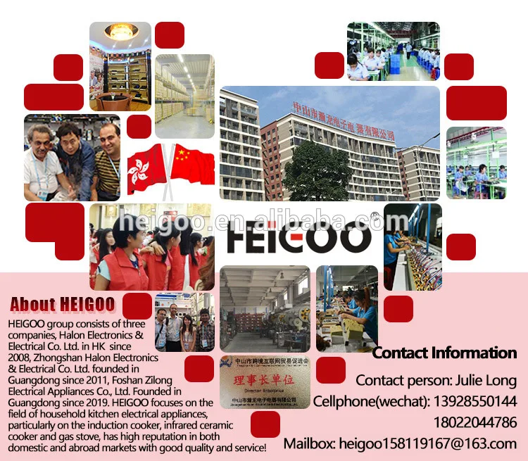 multi induction cooker