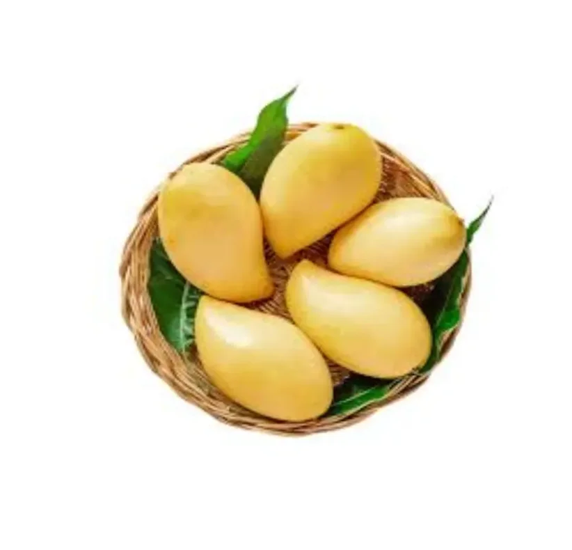 Вкусная упаковка 100% органический свежий мангос Золотой нам док Май РЛ поставка фирменный качественный продукт производитель из Тайланда