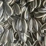 Premium Factory Supplier Wholesale Sunflower Seed 361 Sunflower Seeds Fresh Sunflower Seeds