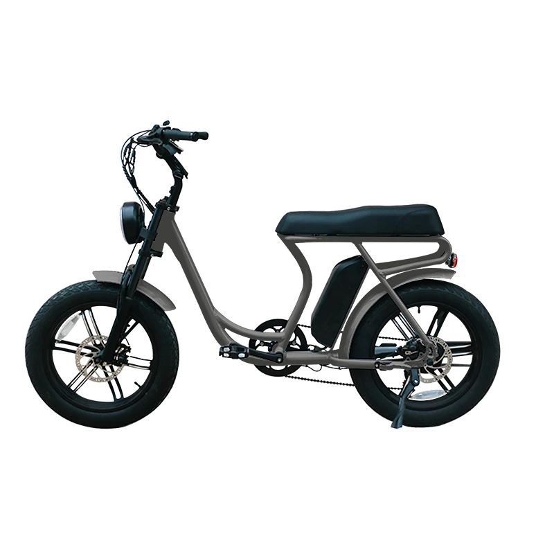 Long Seat 48V 13Ah eBike 2 seat electric bike 750W Brushless Motor Electric Bicycle With 7 speed gears and Disc Brake
