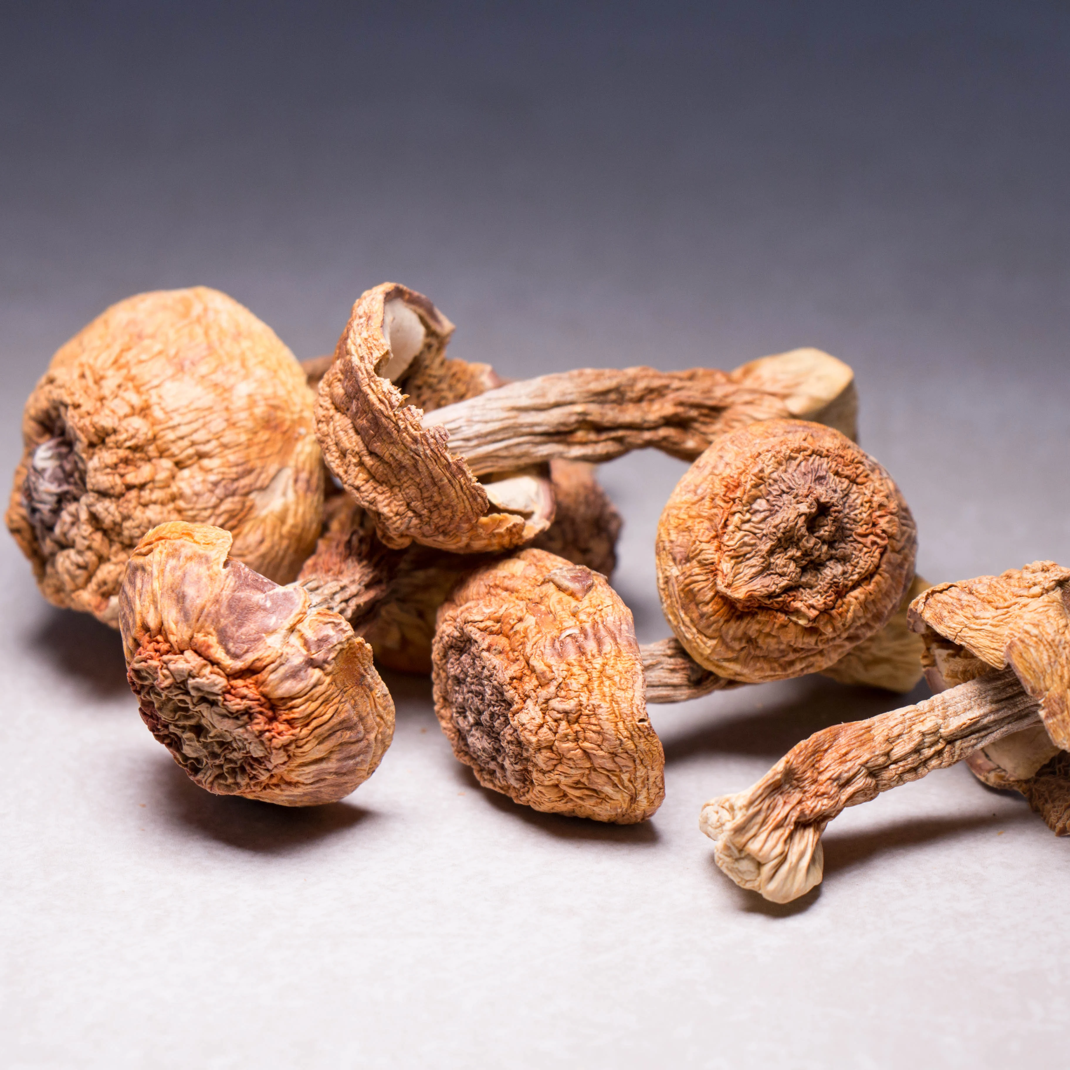  Сухие товары Agaricus blazei 500 г фирменные натуральные грибы Юньнань/грибы