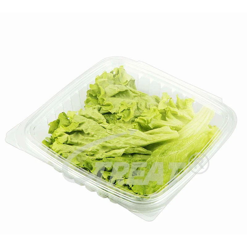 Disposable Fruit Vegetable Tray Transparent PET Plastic Punnets Disposable Plastic Container for Fruit & Vegetables use