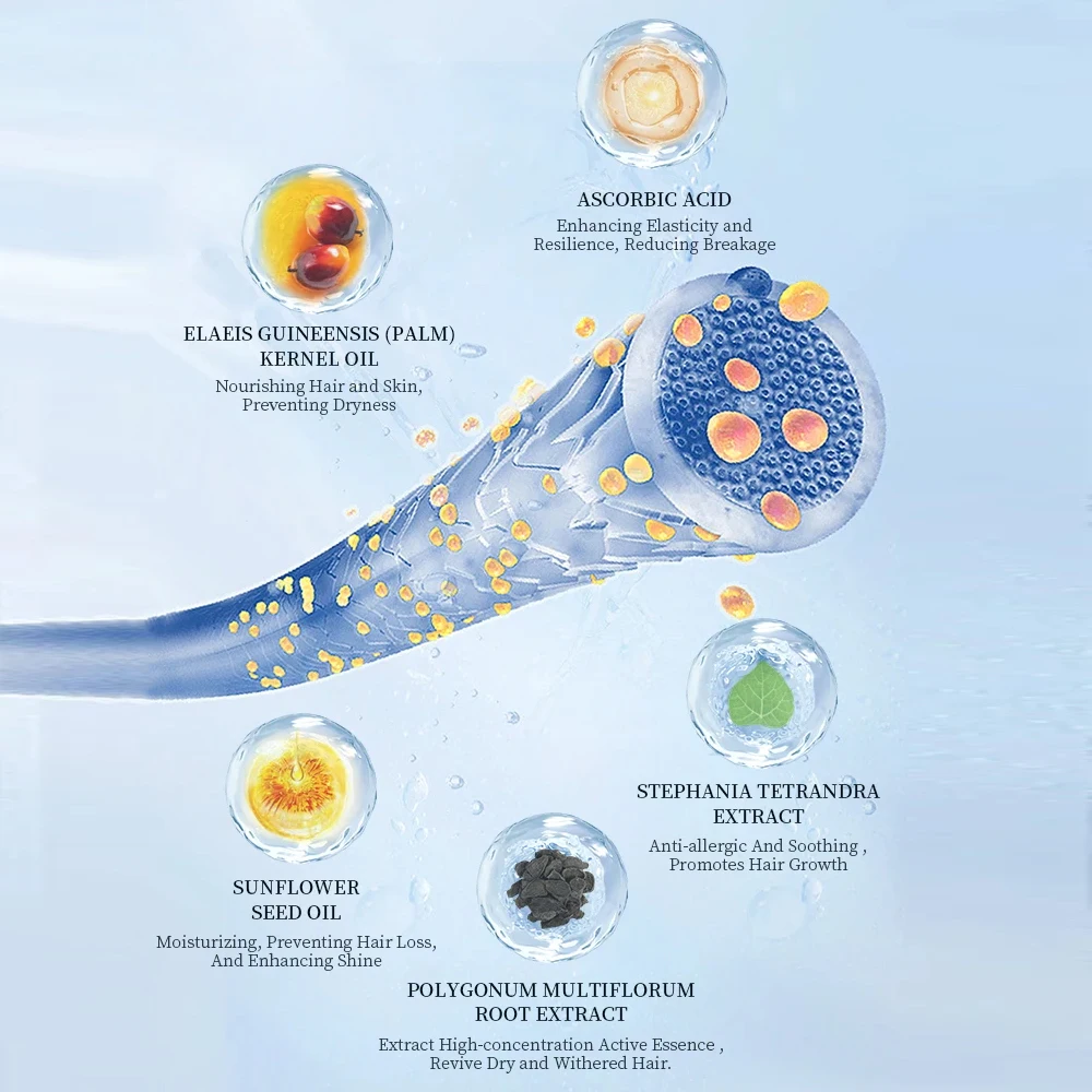 Private Label brown coffee black Brow Eyelash Eyebrow Tinting Brow Henna Dye Gel Kit long lasting