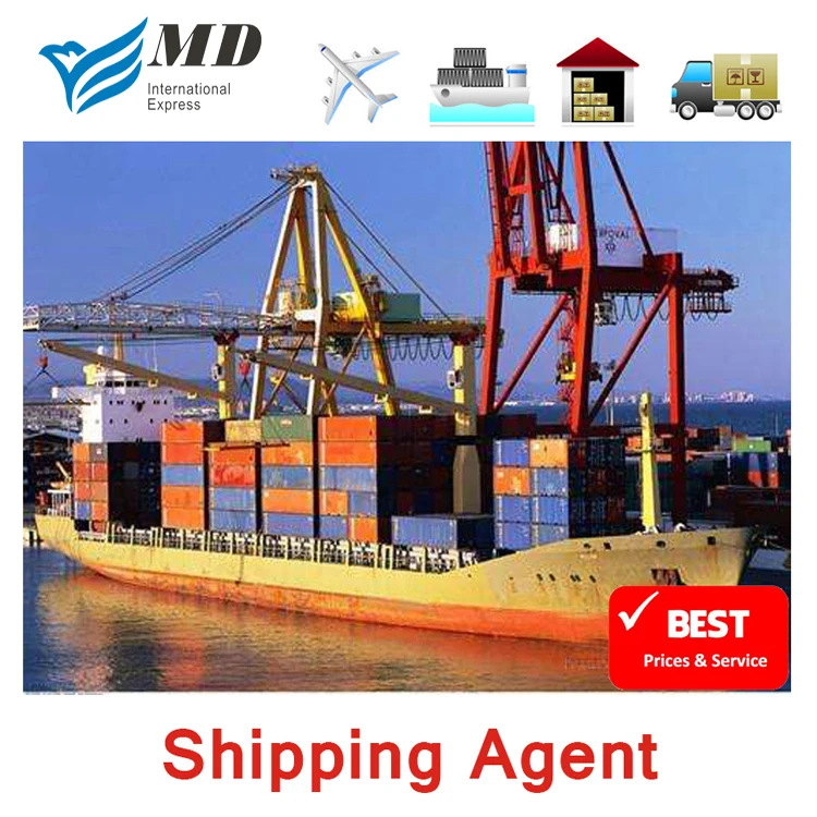 Meidi Door To Door Sea Shipping China Ship To Qatar By Chinese Shipping Agent To Qatar Freight Forwarder DDP