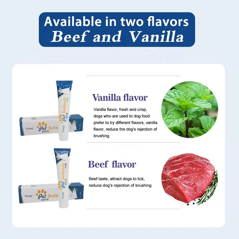 Qbellpet Factory Low Price Manufacturers Selling 70g Vanilla/Beef Flavors Pet Cat Dog Toothpaste