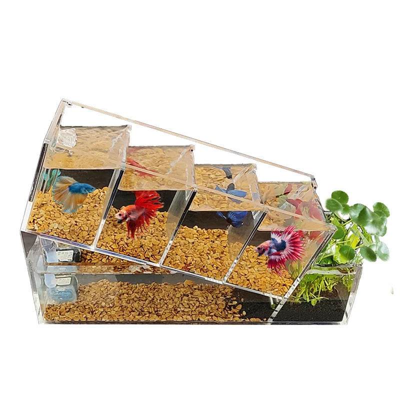 Creative aquarium multicellular insulation area self circulation filtration anhydrous ecological aquarium