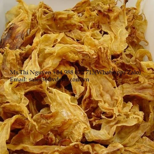 DRIED FISH MAW/ PANGASIUS FISH MAW /CATFISH MAW FROM VIETNAM (Mr. Kevin +84 968311314)