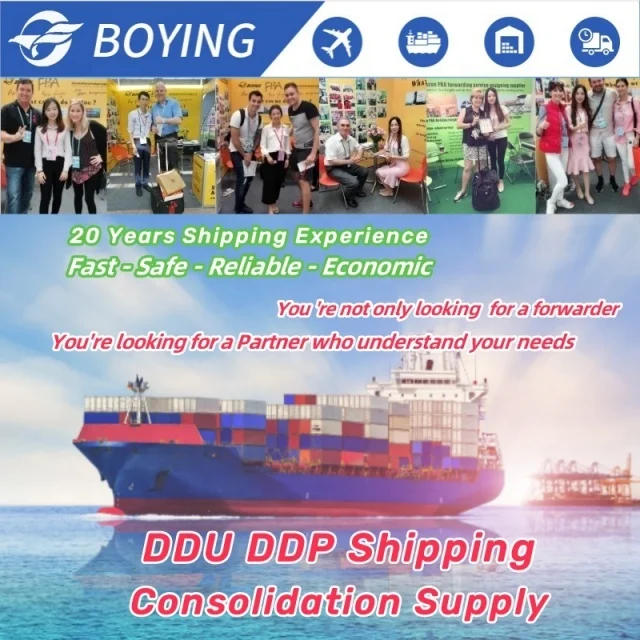 Special transportation Door to Door Service Air Freight Forwarder Sea Shipping Agent China Shipping Agent Cost to US MX CA