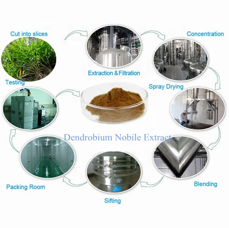 Cosmetic Raw Material Shi Hu Dendrobium Nobile Extract Powder with Best Price