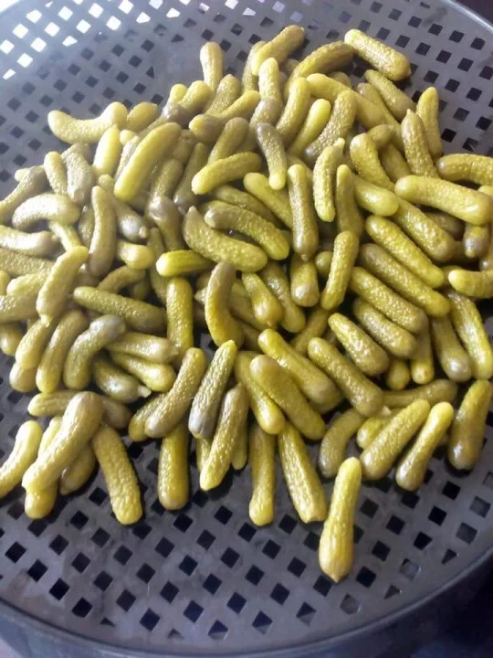 Маринованный детский огурец из Вьетнама приправленный солью и укропом маринованный корнишон в банке или барабанные лодки с огурцами укропа/Ms. Lima