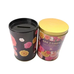 Factory Supply Coin Bank with Removable Lid,Metal Tin Can,Money Tin Box