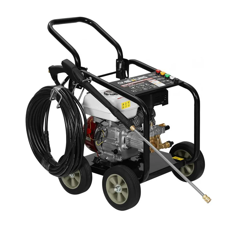 Newland 170C with thermal relief self-priming function professional cleaning equipment