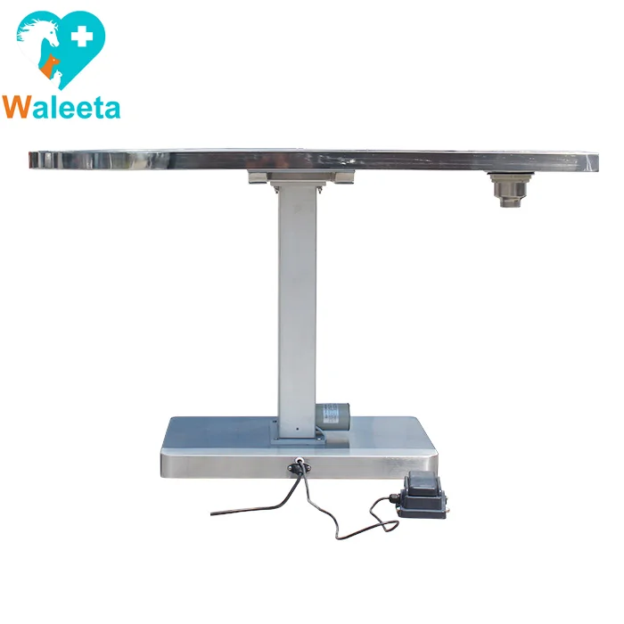 Factory Price Animal Operating Table WT-20 Vet Veterinary Surgical multifunctional electric-lifting dental disposal table