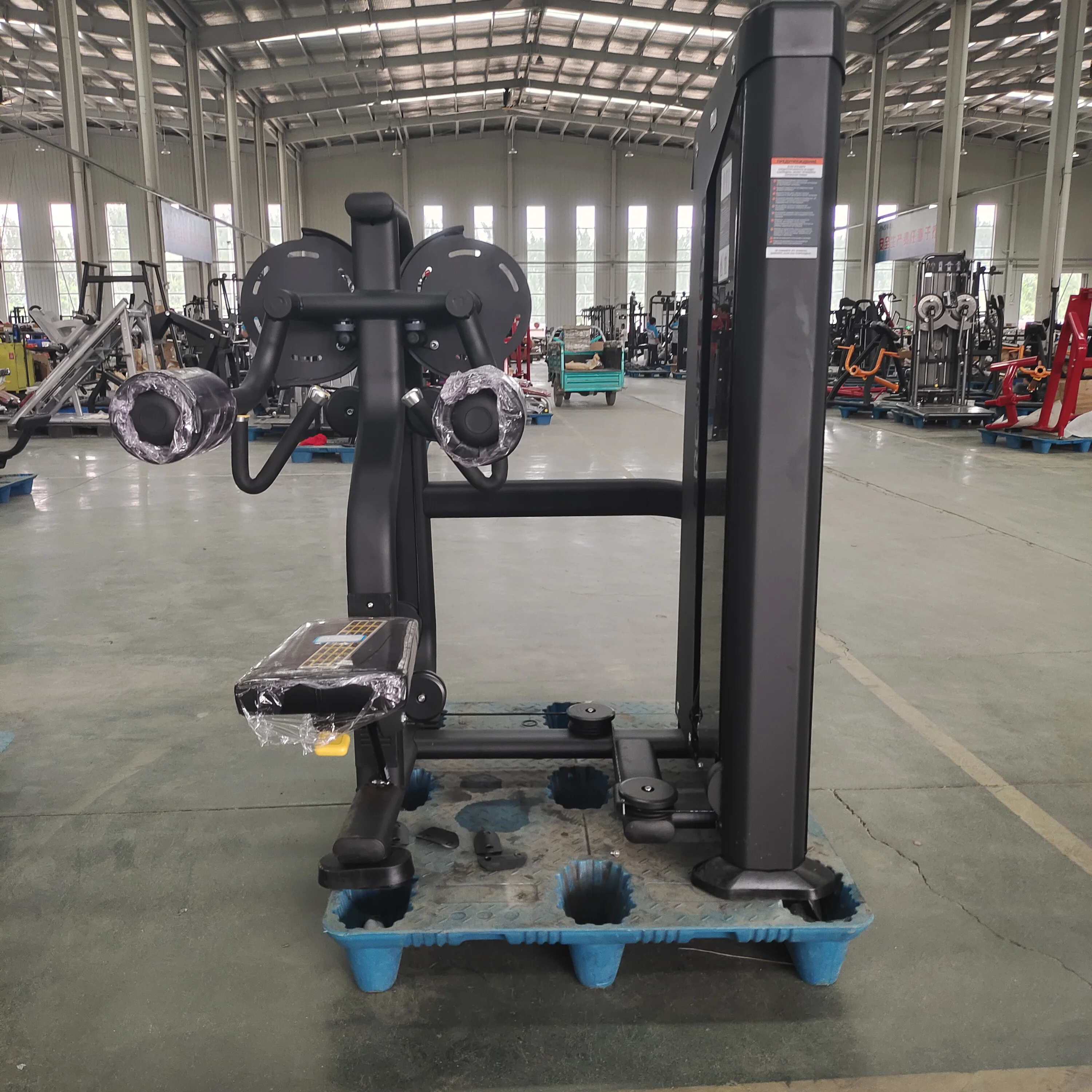 Hot-sale Matrix Lateral Raise Machine Commercial Fitness Gym Equipment Sports Workout Equipment