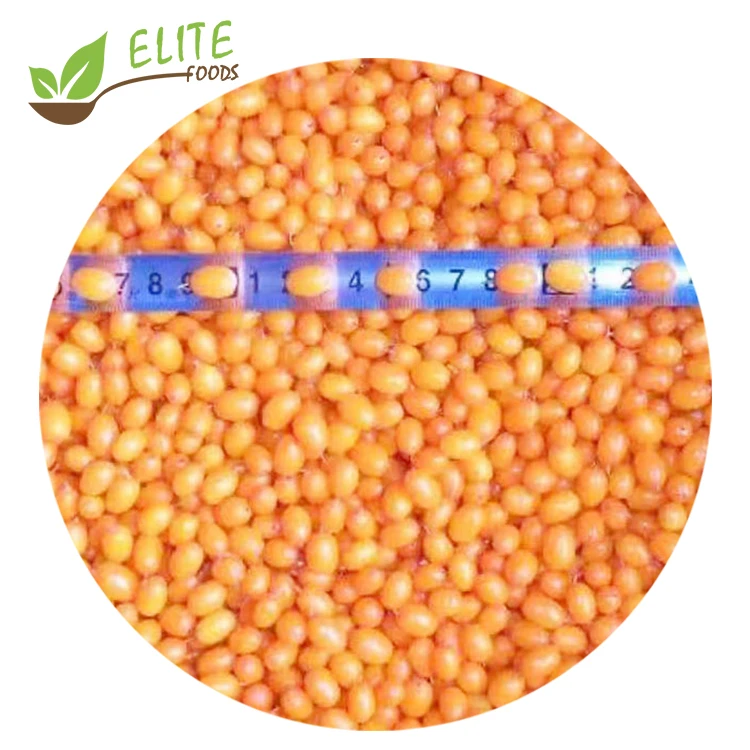 Органические Замороженные ягоды облепихи для продажи, оптовые поставки онлайн