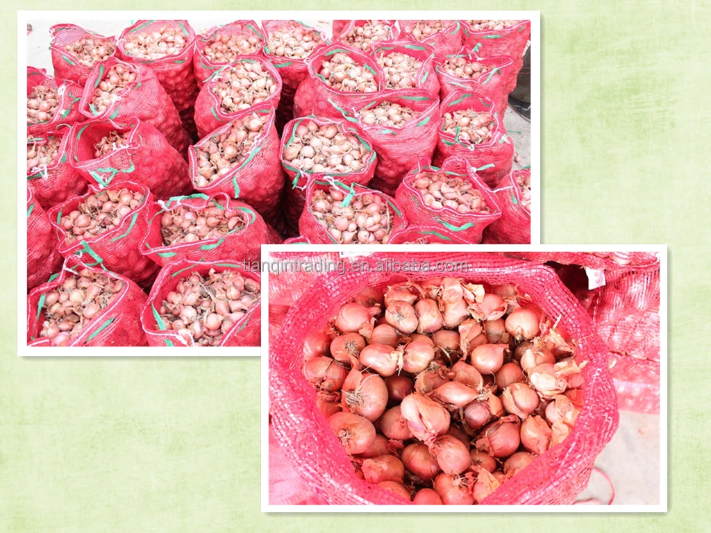 2022 лук по оптовой заводской цене в Китае