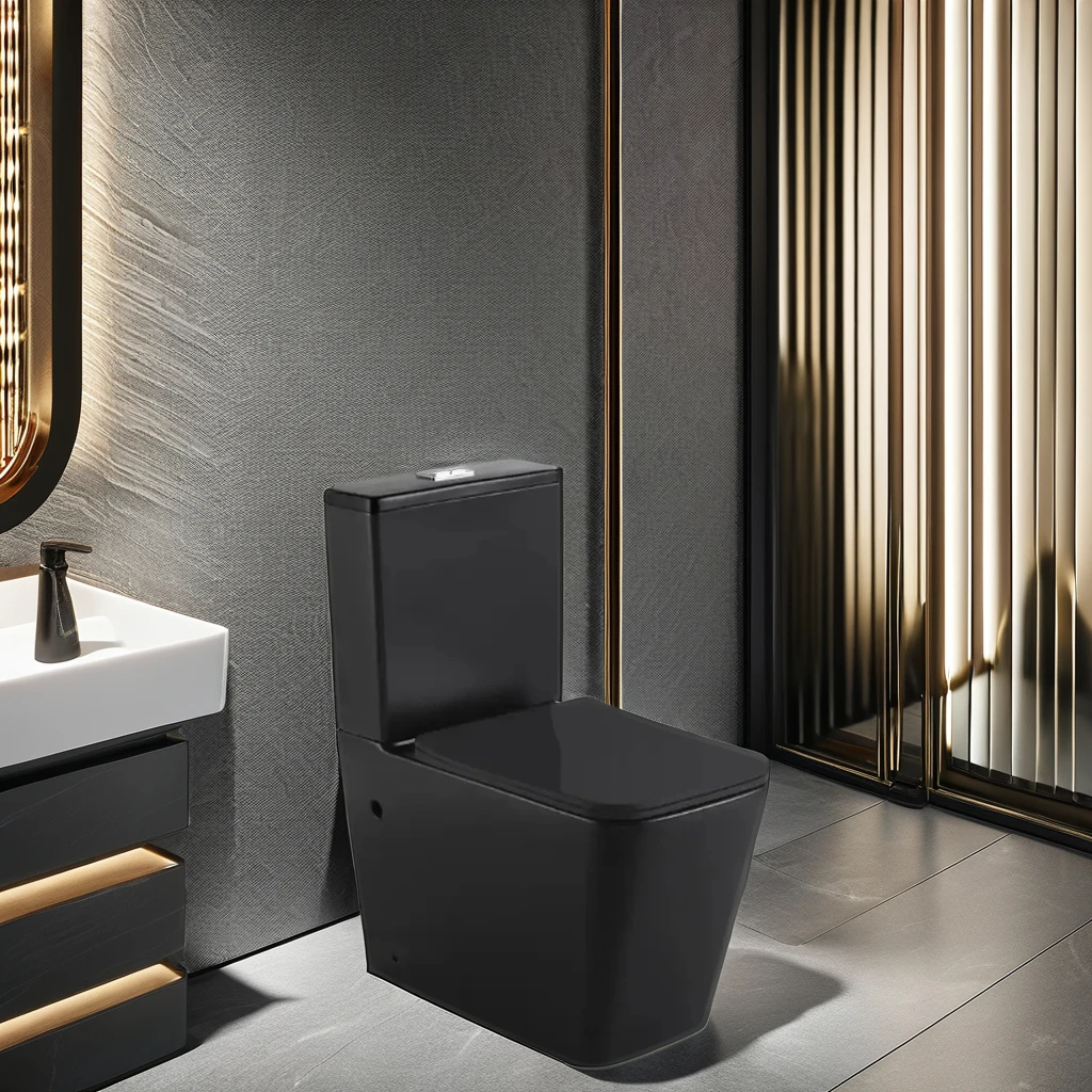 Toilette igbonse les chiottes Sanitary Ware Commercial Toilet with Dual Flush Cistern - Water Saving Durable Reliable