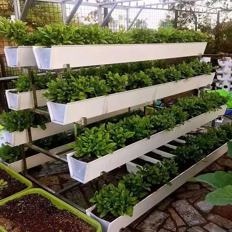 Greenhouse Vertical Hydroponic Strawberry Growing System PVC Channel Nft Hydroponic Gully Hydroponics System