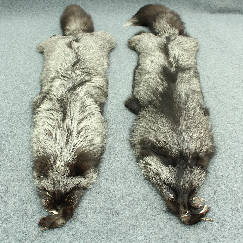 Best fox skins price various color tanning fox skin silver fox fur skin pelt for coat