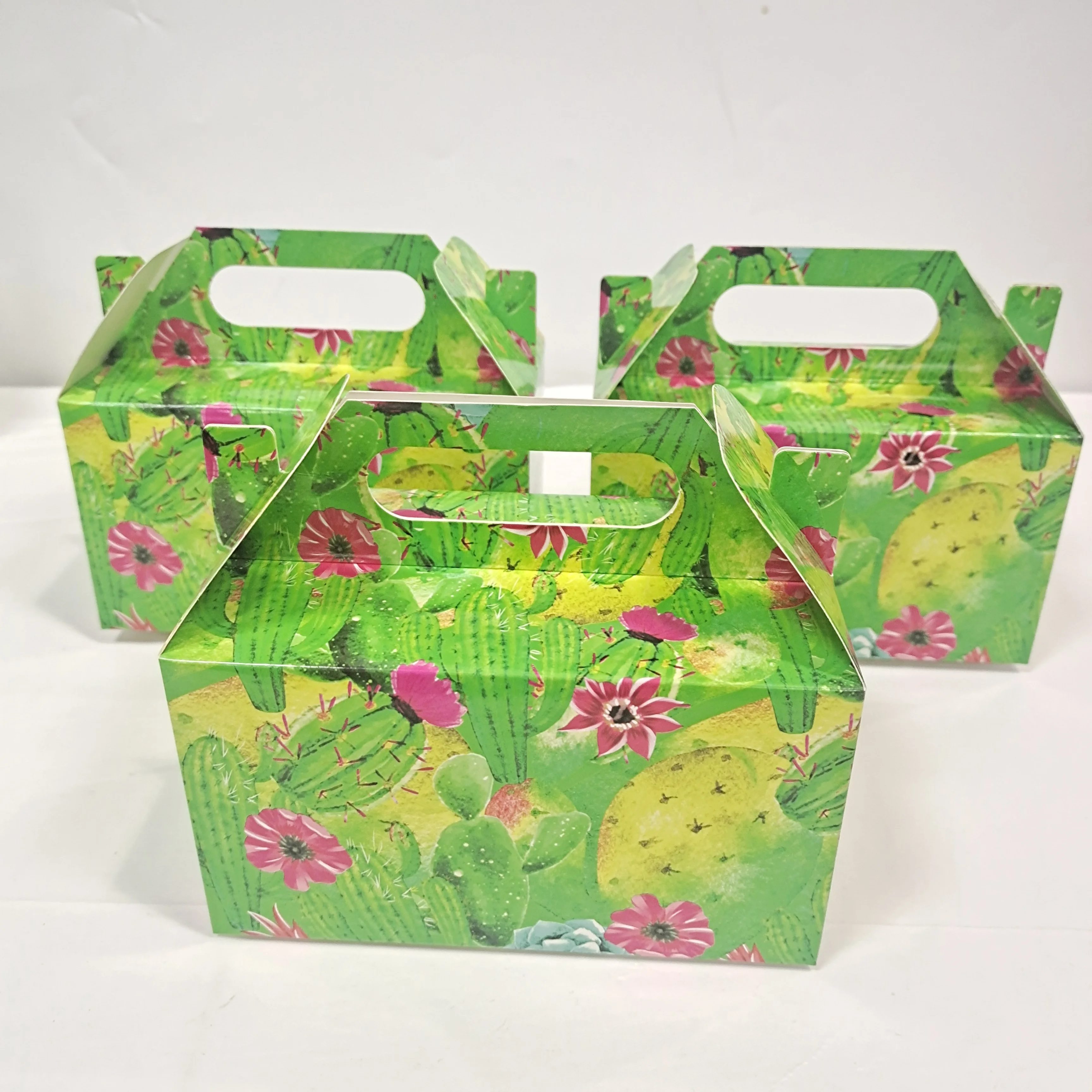 Pafu 12 упаковок кактусов тематические день рождения детский душ вечеринки поставки мексиканский праздник пять Mayo коробка конфет кактус подарки коробка