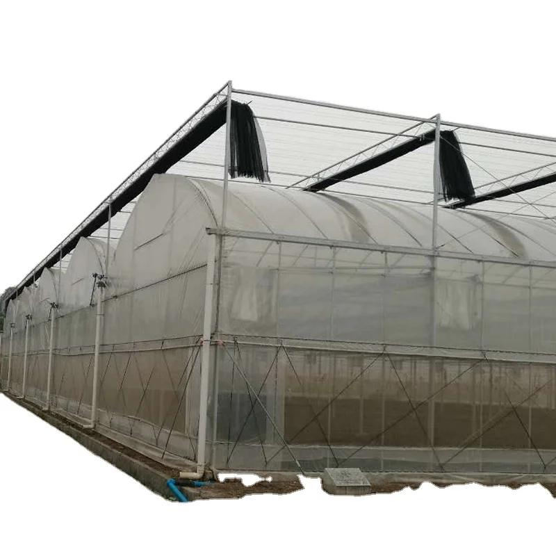 
Low cost multi-span agriculture commercial film greenhouse for sale 