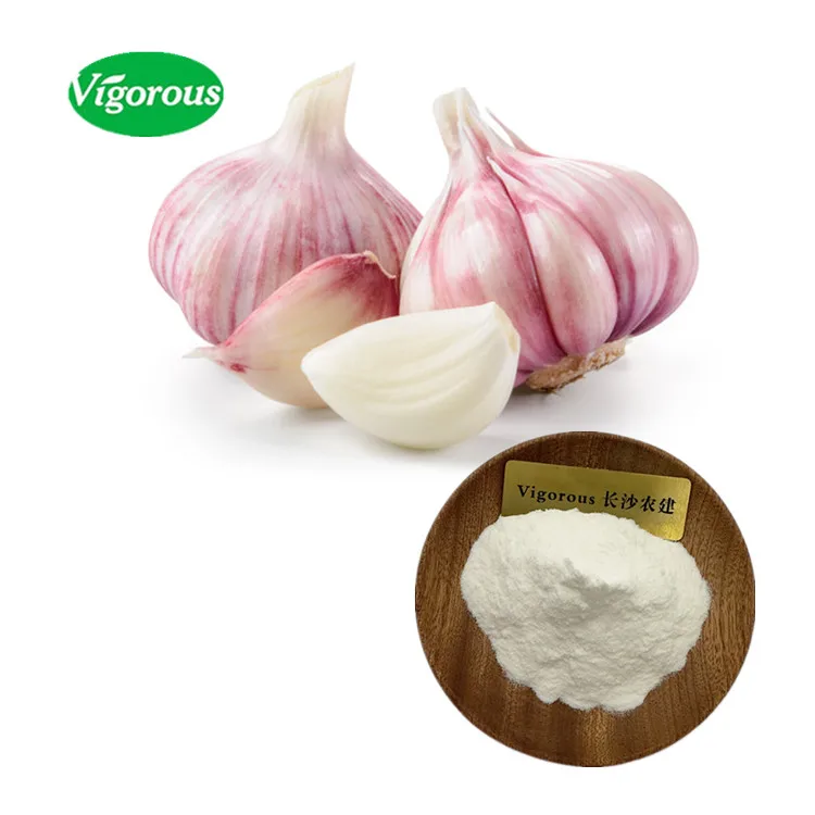 Factory Allium sativum extract HPLC 1% Garlic Allicin powder for health products