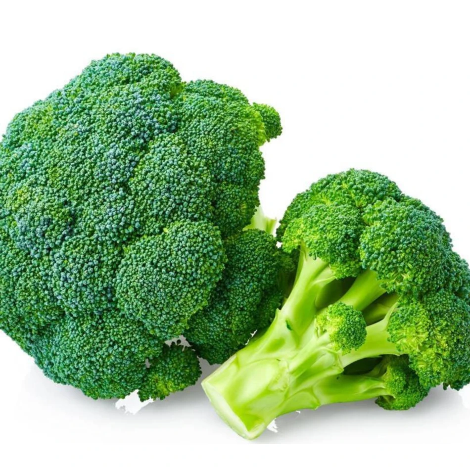 Wholesale Price Natural Organic Brocoli Vegetable Fresh Broccoli