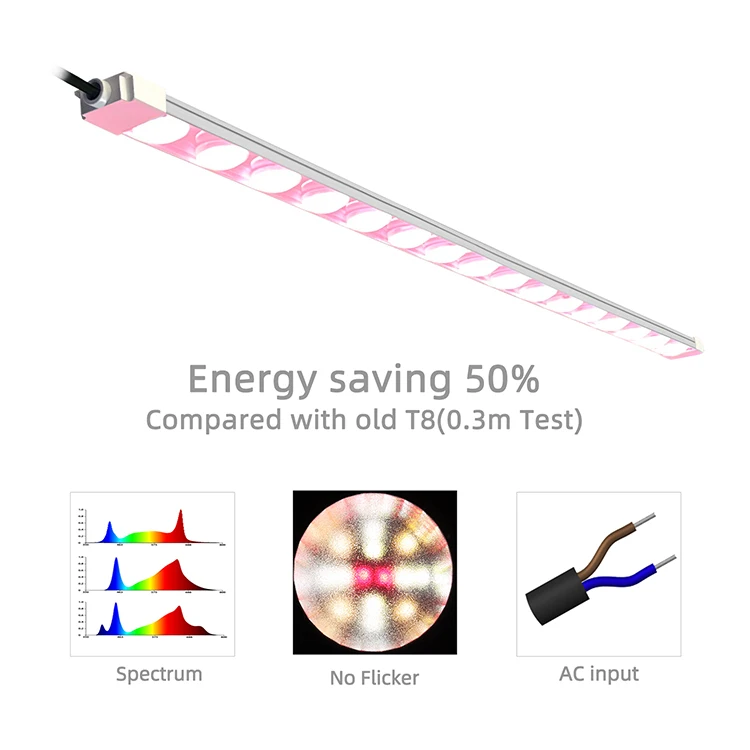 Energy saving full spectrum Venus flytrap best grow light succulent plant light high efficiency LED grow lights