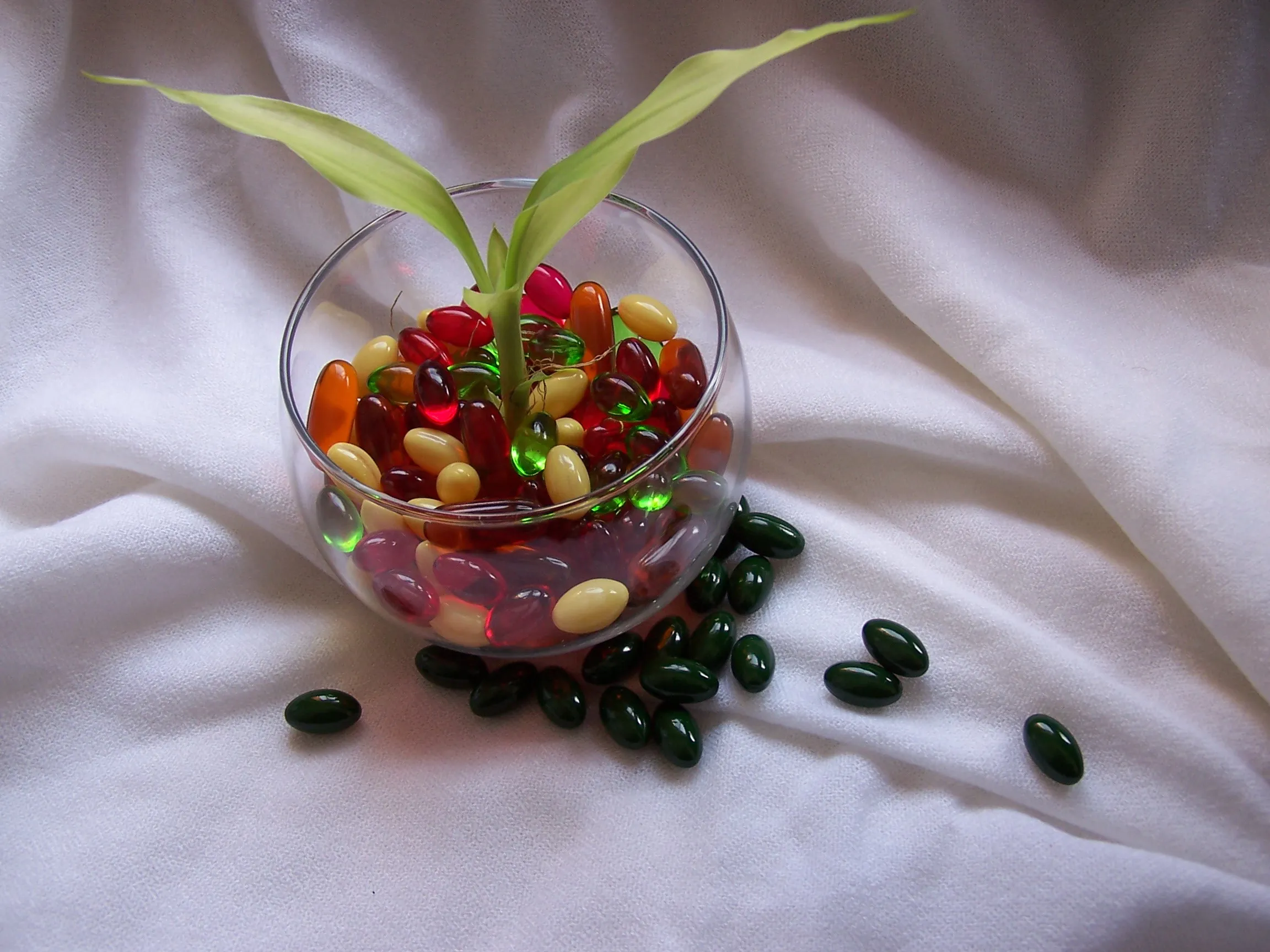 dietary supplement Co Q10 Softgel with co Q10 100mg