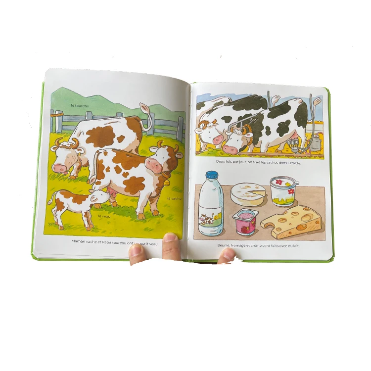English And Maths Best Hot Selling Bilingual Children Book Printing For Toddlers