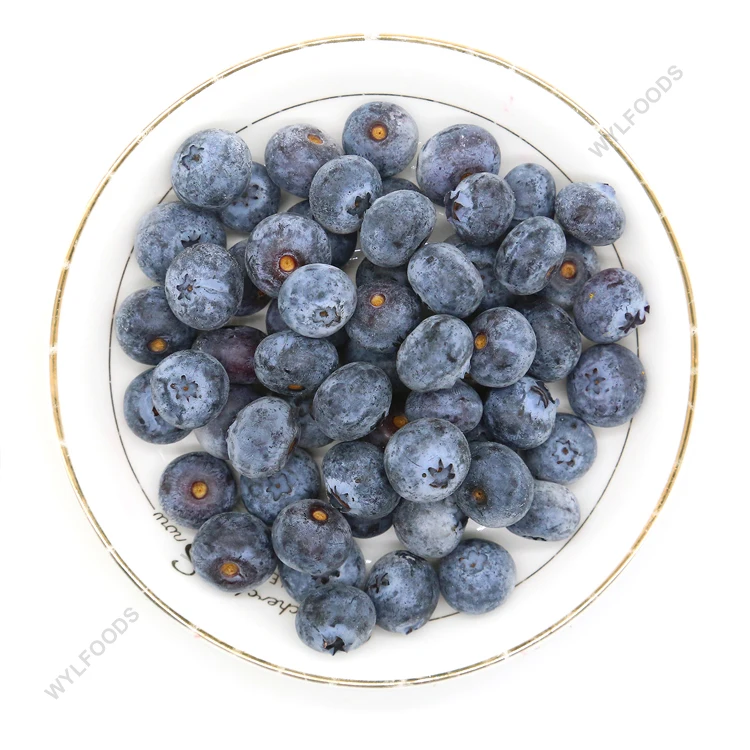 iqf blueberry whole frozen blueberry best quality iqf fruits