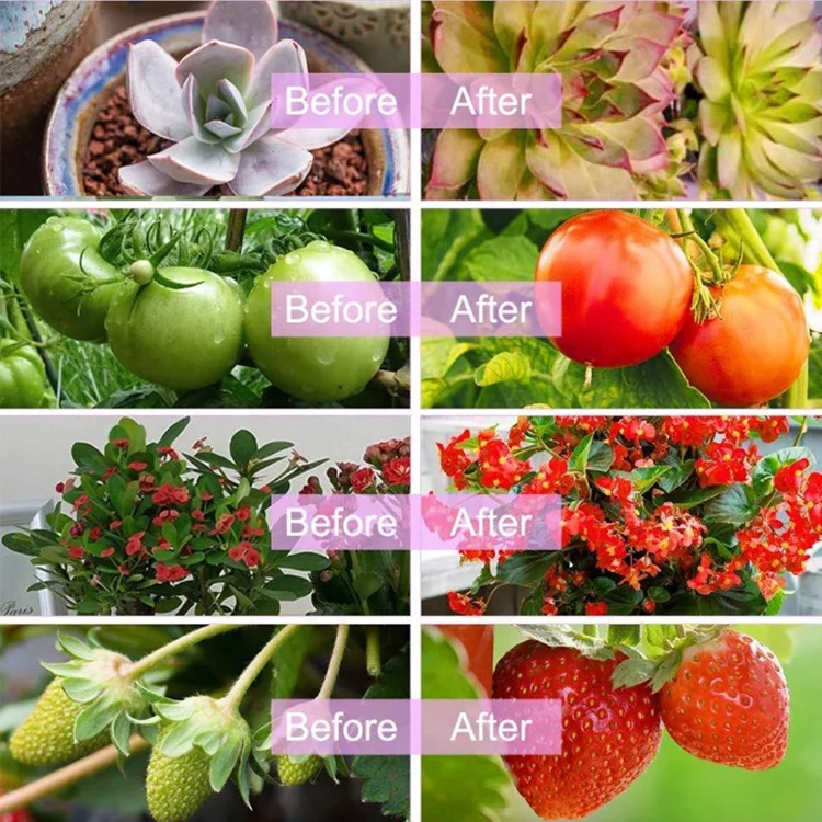 Seed Starting 12W Plug-in Pot Vertical Grow Light  LED For Indoor Plants