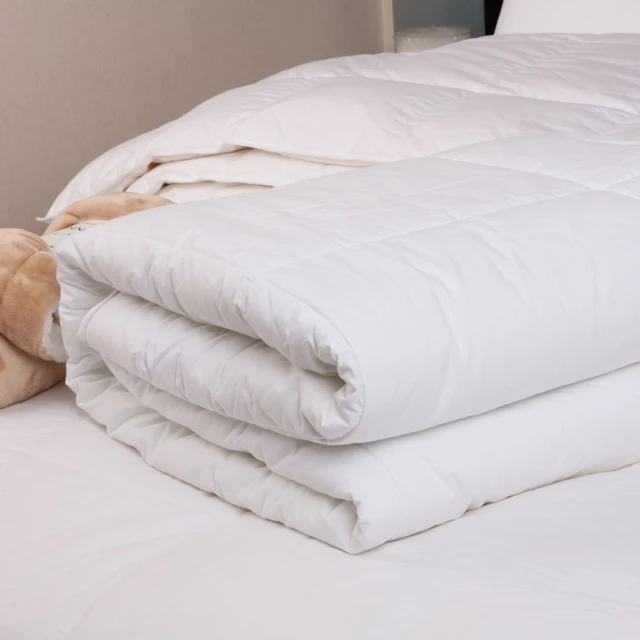 Factory Price Plain Color 100%Cotton Smooth and Comfortable Springautumn Microfiber Duvet Duvet Filler Microfiber