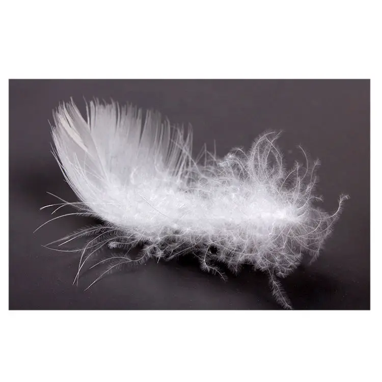 Machine Washable Factory Directly Wholesale Hot Sale White Duck Feather And Down Filling