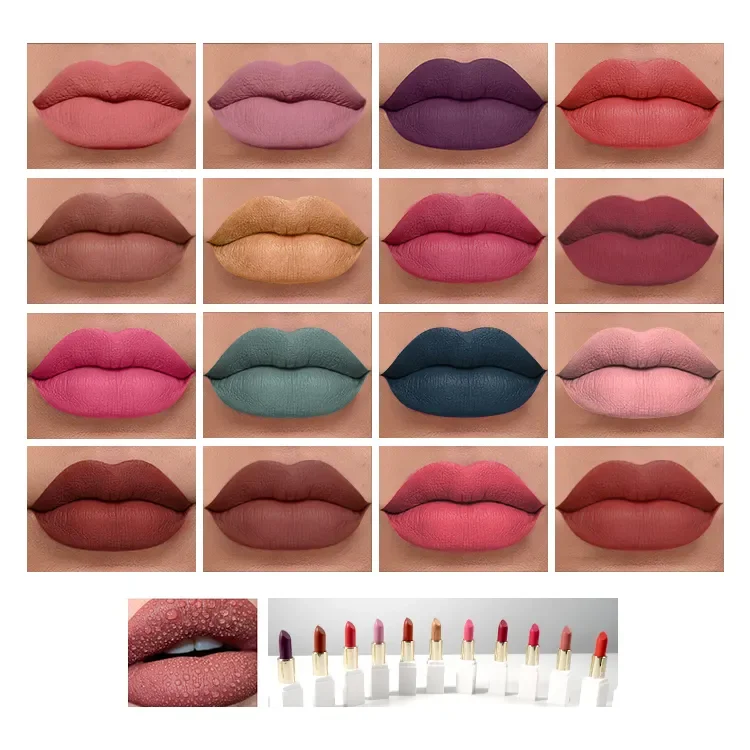 OEM Vegan Wholesale Makeup Custom Lipstick 55 Colors Matte Lipstick Lipsticks Customized Cosmetic Private Label