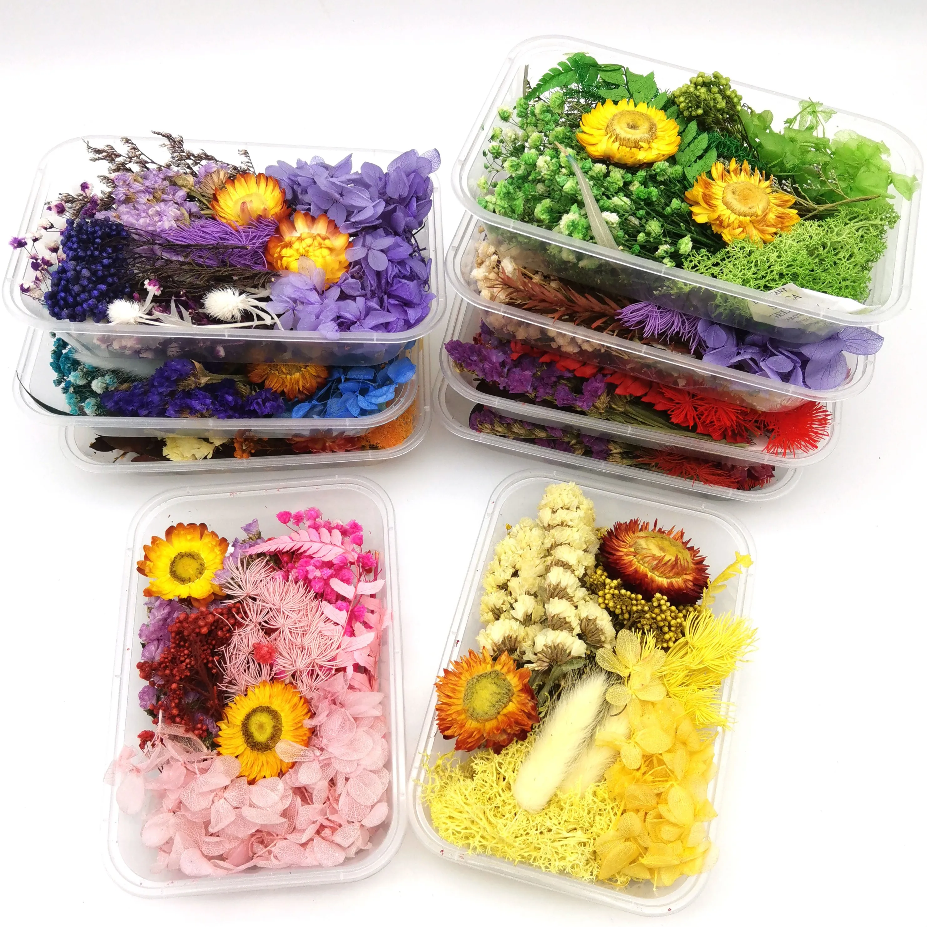 Украшение сушеные цветы оптом натуральные сухие и растения для ремесел по изготовлению свечей из смолы художественное фото