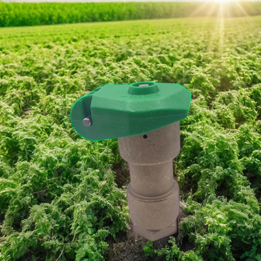 Brass Quick Coupling Lawn Irrigation Water Intake Valve Metal Construction