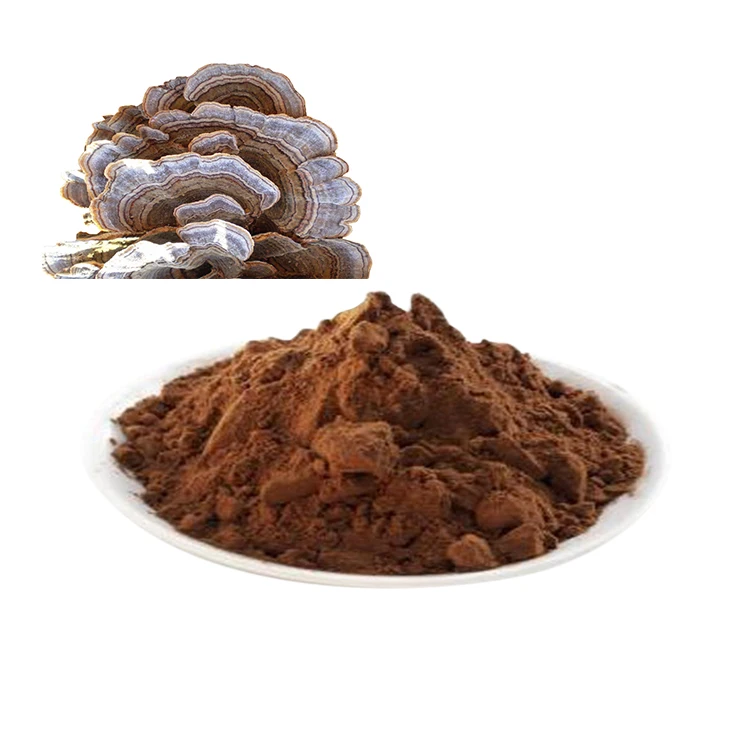 Adaptogenic Mushroom Coffee with Plant Extracts Premium Coffee Boosted with Natural Energy Boosting Ingredients