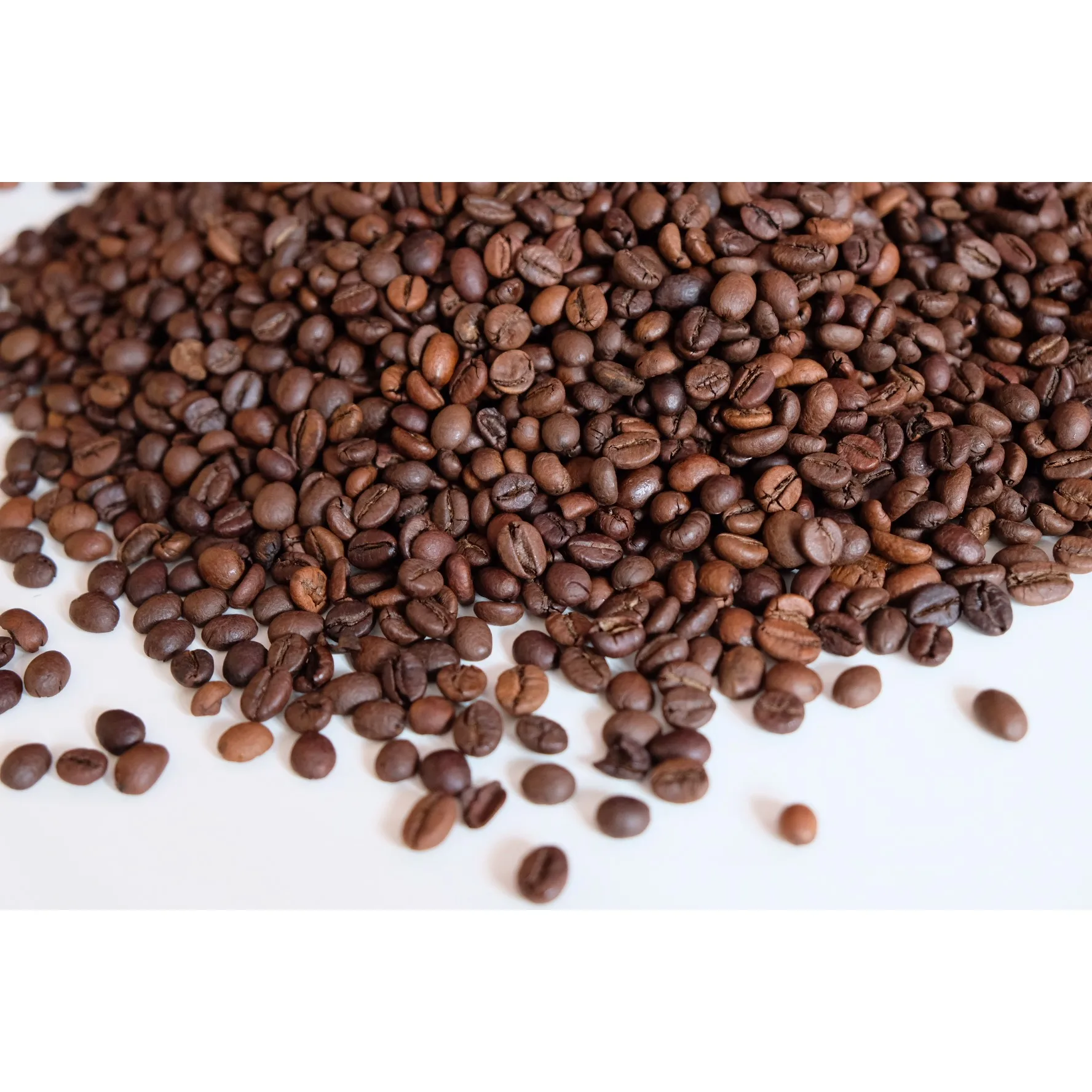 Made in Vietnam Robusta S16 Roasted Carpentry Coffee Beans Cafe Medium Roasted Robusta Beans High Quality Robusta Beans Roasted